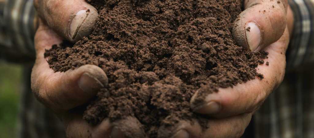 Scooping Soil Background